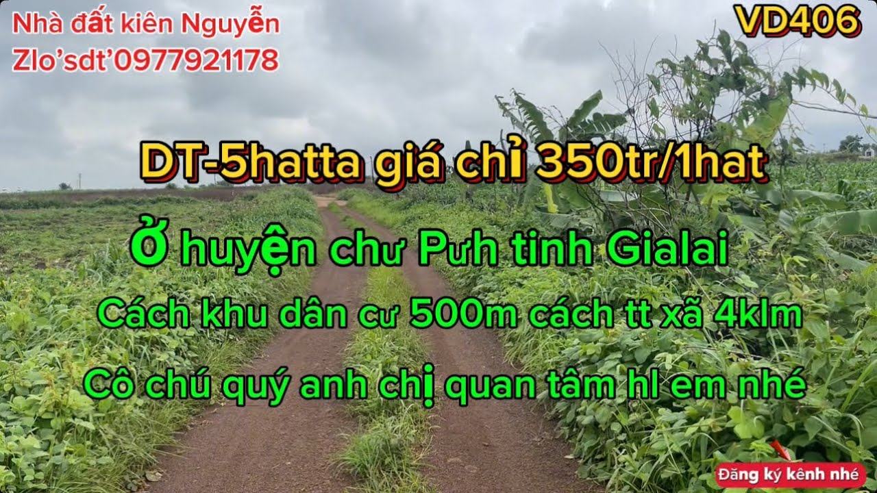Cần bán lô đất rẫy DT-5hatta giá chỉ 1ty750tr nguyên lô bìa hồng đầy đủ ở huyện chư Pưh tinh Gialai