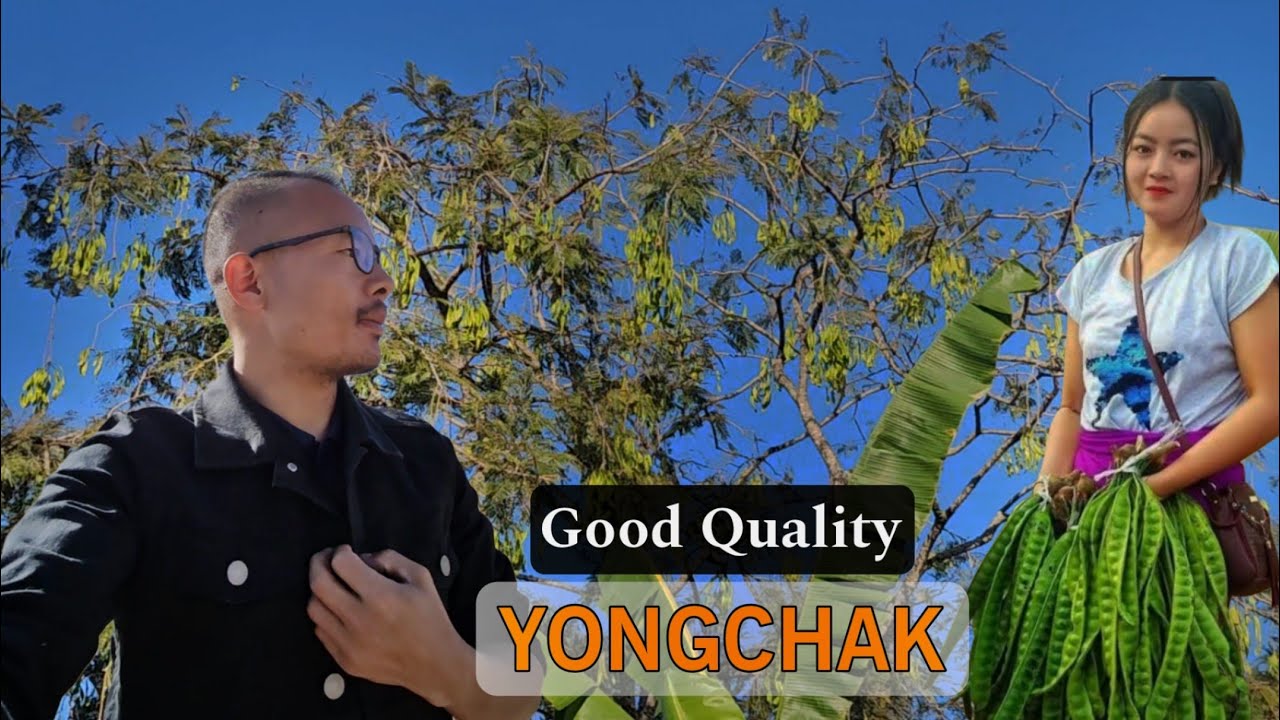 Yongchak | Every household earned 1.5 lakhs