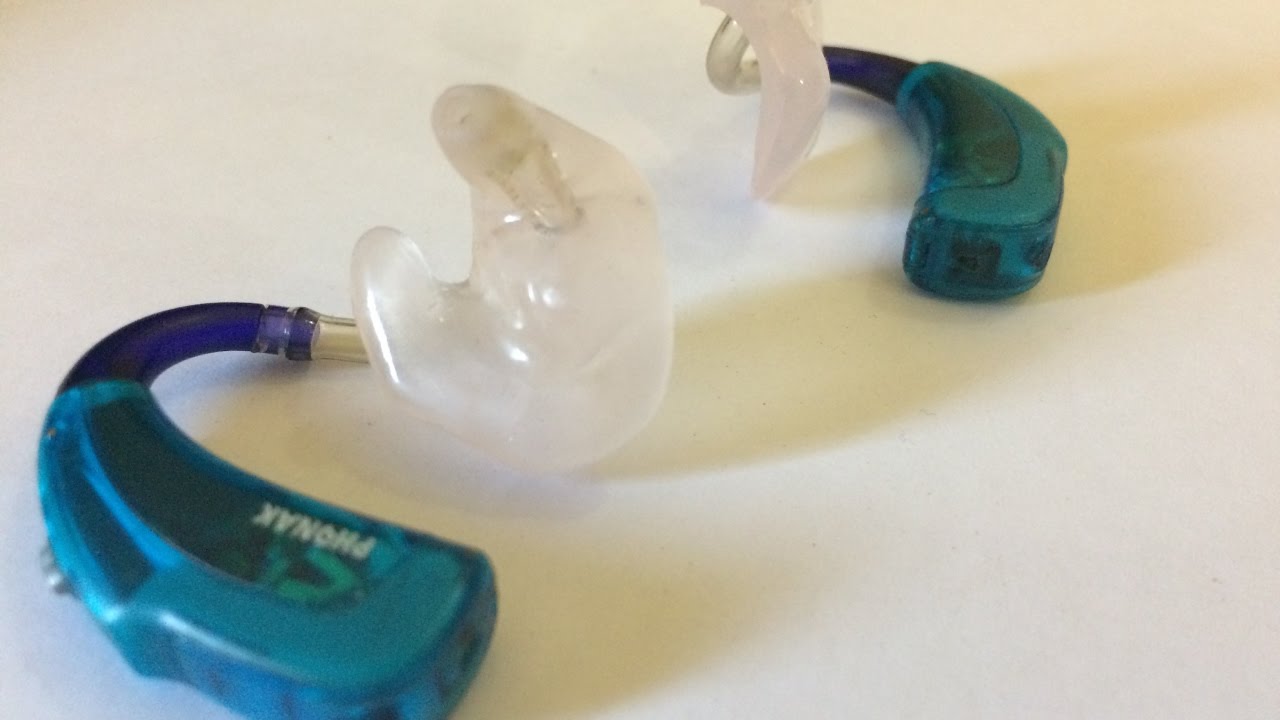 PARTS OF A PHONAK SKY HEARING AID