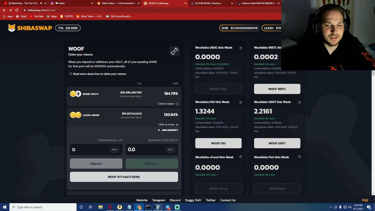 HOW TO #USESHIBASWAP $LEASH $BONE $SHIB - WHY SHIBASWAP IS AMAZING!!!