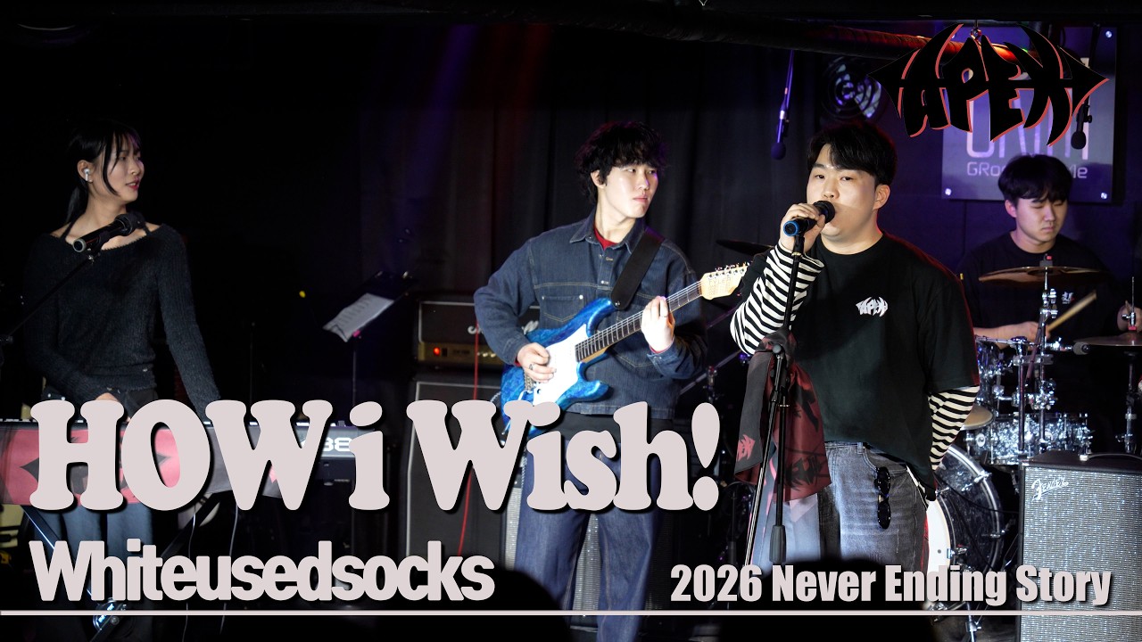 HOW i WiSH! - Whiteusedsocks | 2026 NES 연합공연 | Cover by APEX