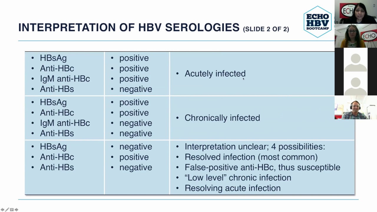 ECHO HBV Bootcamp E - Module Two: Serology (Part One)