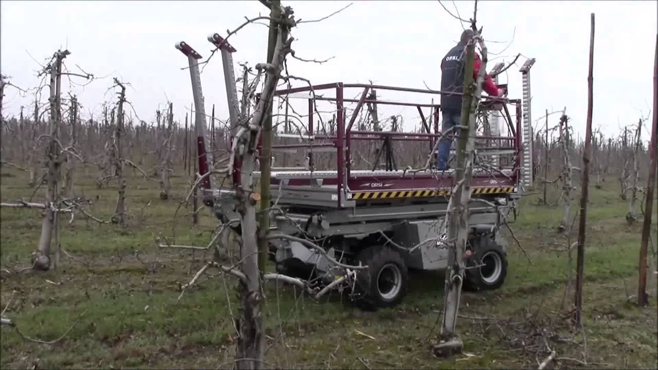 Cross Eco ORSI GROUP POLSKA