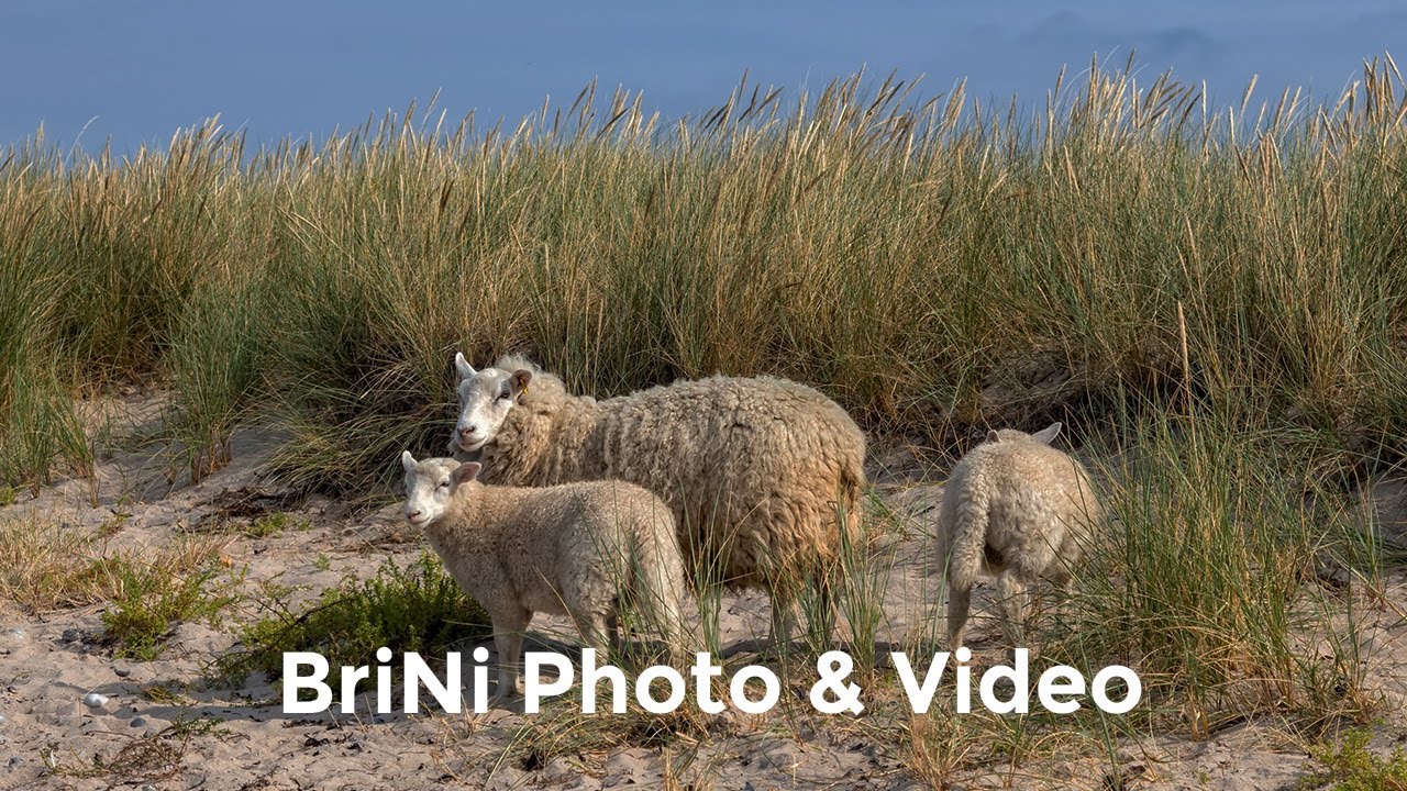 2021 Denmark - Lolland Island: Maribo, Dodekalitten & Coastal Charms Await!