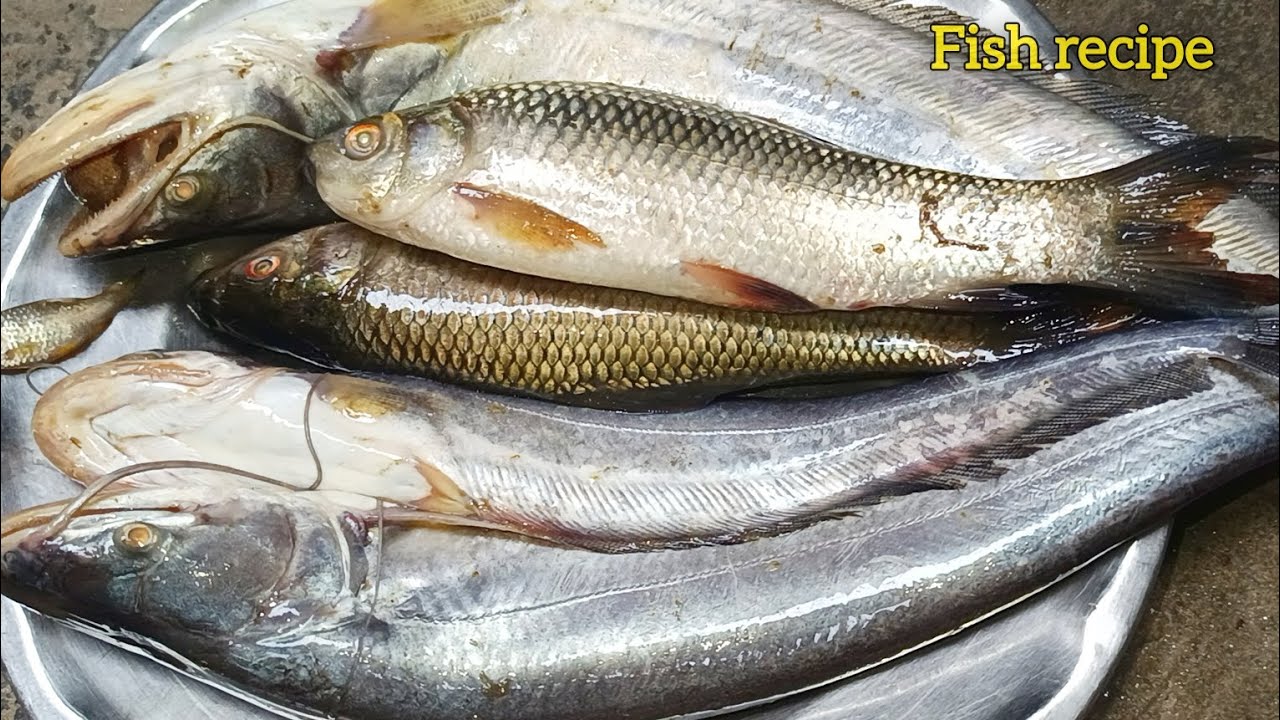 दशारा के मौसम बरी मछली कैसे बनाए , अपने घर मे। How to make Bari fish in Dashaara season, for your...