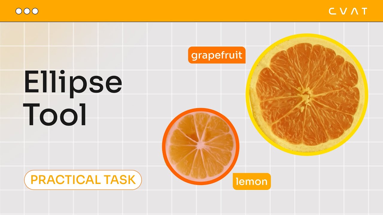 Lecture 12. Ellipse tool | Practical Task