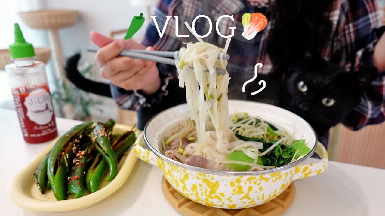 SUB) Готовим удон с базиликовым кремом 🌶️, едем к бабушке готовить 100 кг кимчи 🥬, ёлка 🎄
