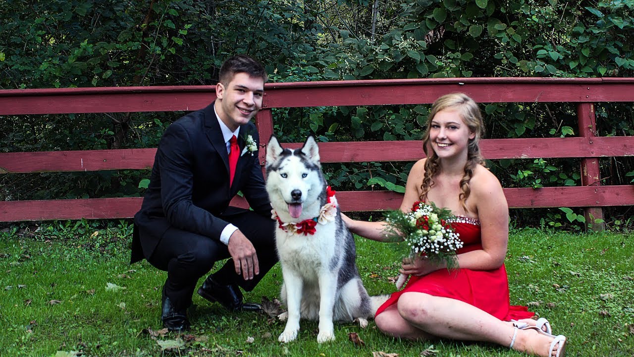SERVICE DOG GOES TO HOMECOMING 9/29/18