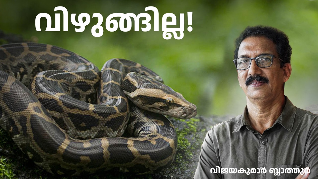 പെരുമ്പാമ്പിന് കാലുണ്ടായിരുന്നു  Can a #python  eat a man? #malayalam #science #education #മലയാളം