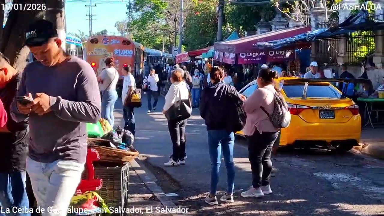 La Ceiba de Guadalupe,  San Salvador, El Salvador  2026