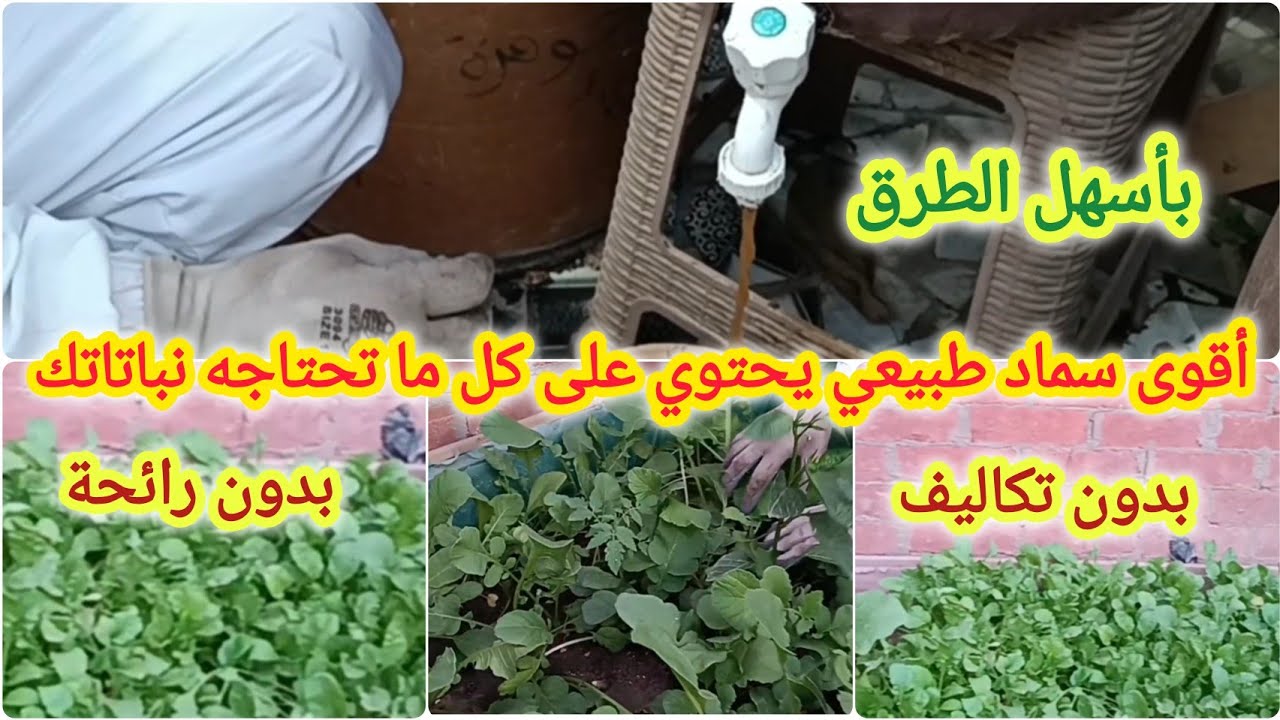 بأقل الإمكانات : مصنع سماد طبيعي متكامل في منزلك ( إعادة تدوير المخلفات لتصبح أقوي كومبست )