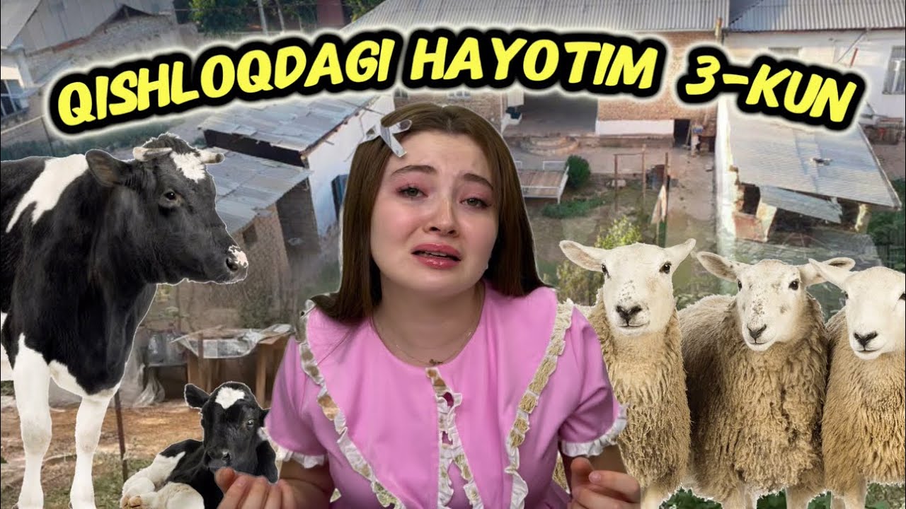 Qishloq hayotida 5 kun-Кишлок хайотида 5 кун