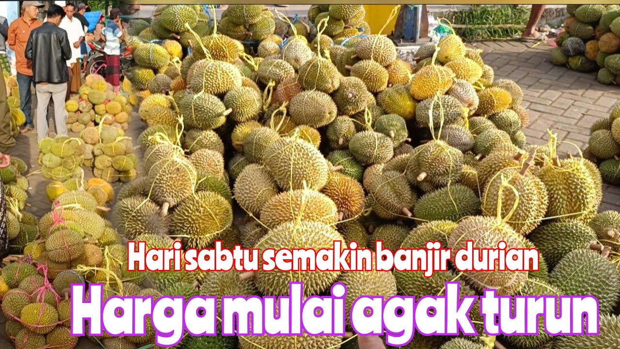 HARI SABTU PASAR TRADISIONAL KEBANJIRAN DURIAN DAN HARGANYA MULAI AGAK TURUN ASAL KAN BISA NAWAR