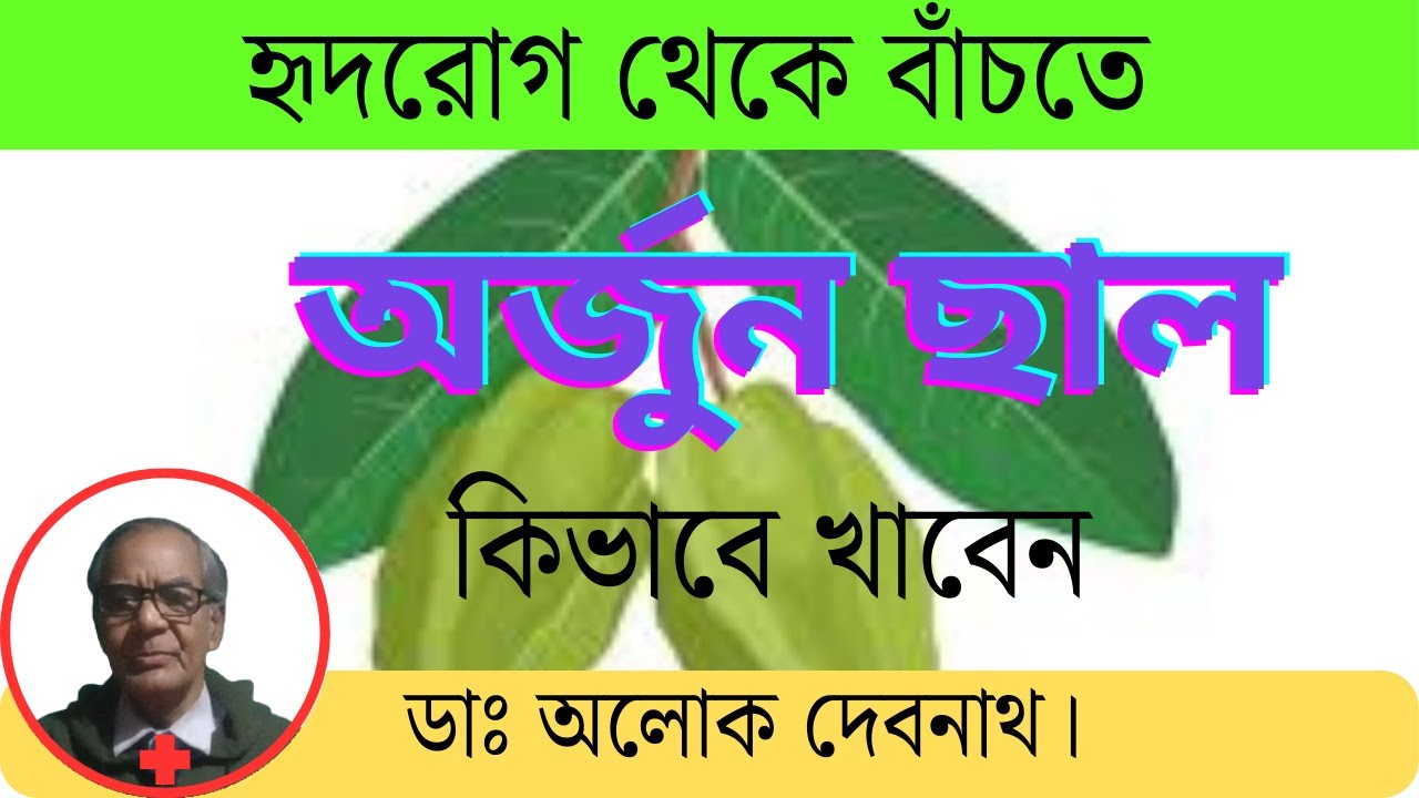 ✅ 👌 হৃদরোগ থেকে বাঁচতে অর্জুন গাছের ছালের উপকারিতা । অর্জুন ছাল যেভাবে খেলে বেশি উপকার হয় ।
