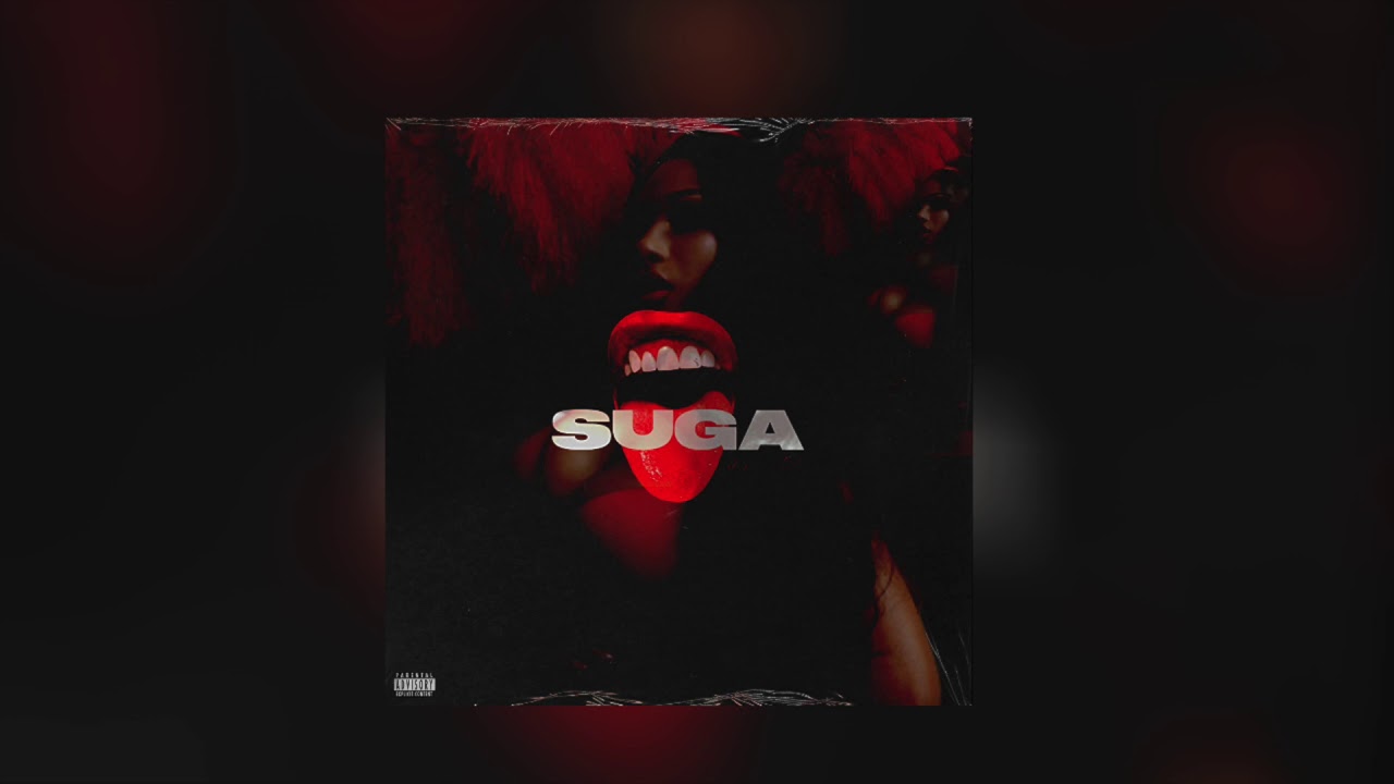 [FREE] Megan Thee Stallion Type Beat - 