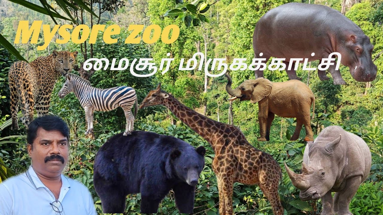 Mysore zoo in tamil #tour #mysorezoo 