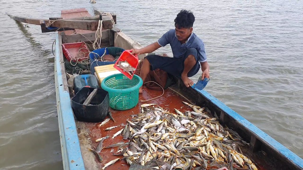Bất ngờ trúng cá đi bầy sau cơn bão biển | Ngư Dân Miền Tây #215