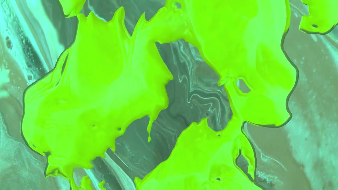 Maximo Park - Versionen Von Dir (Official Visualiser)