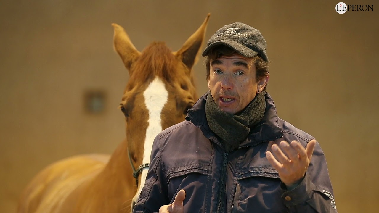 En pratique avec Christophe Bruyère #1 | Rééduquer un cheval maltraité