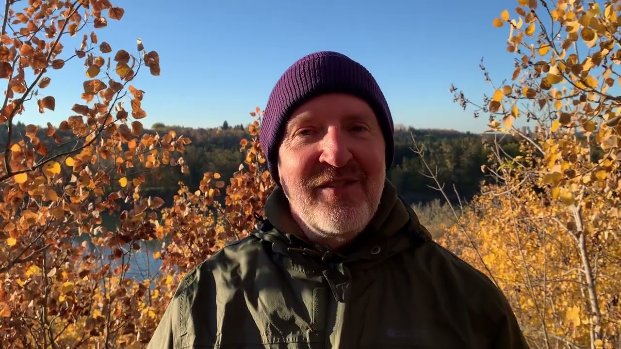 28th Sunday in ordinary time year c homily 