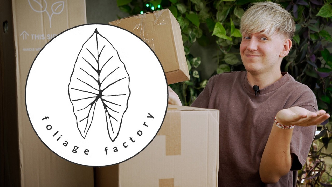 DAMIT hätte ich NIE gerechnet! 🤯 Foliage Factory Unboxing voller Überraschungen | Plant Haul