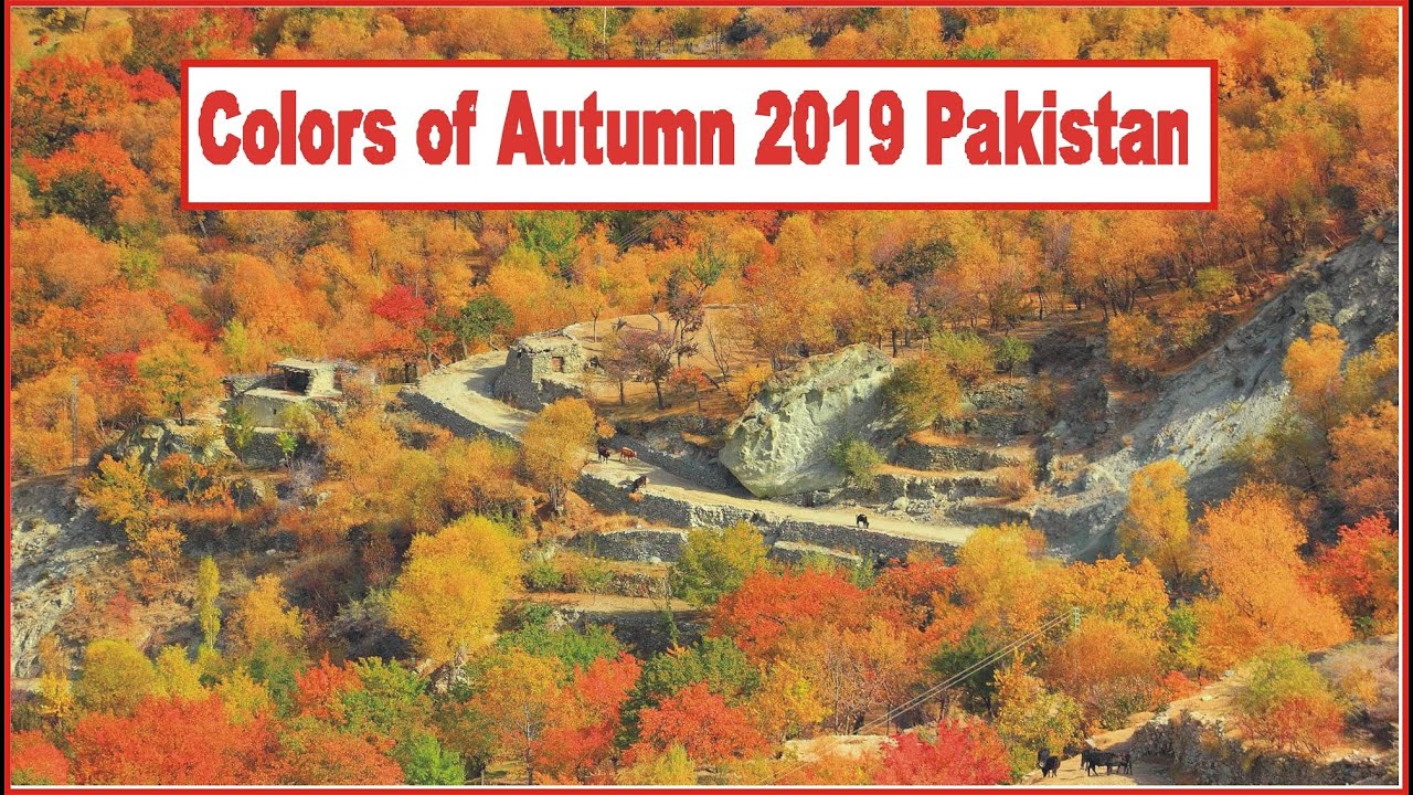 Colors of Autumn Hopar Valley|Nagar Valley|Gilgit-Baltistan|Pakistan