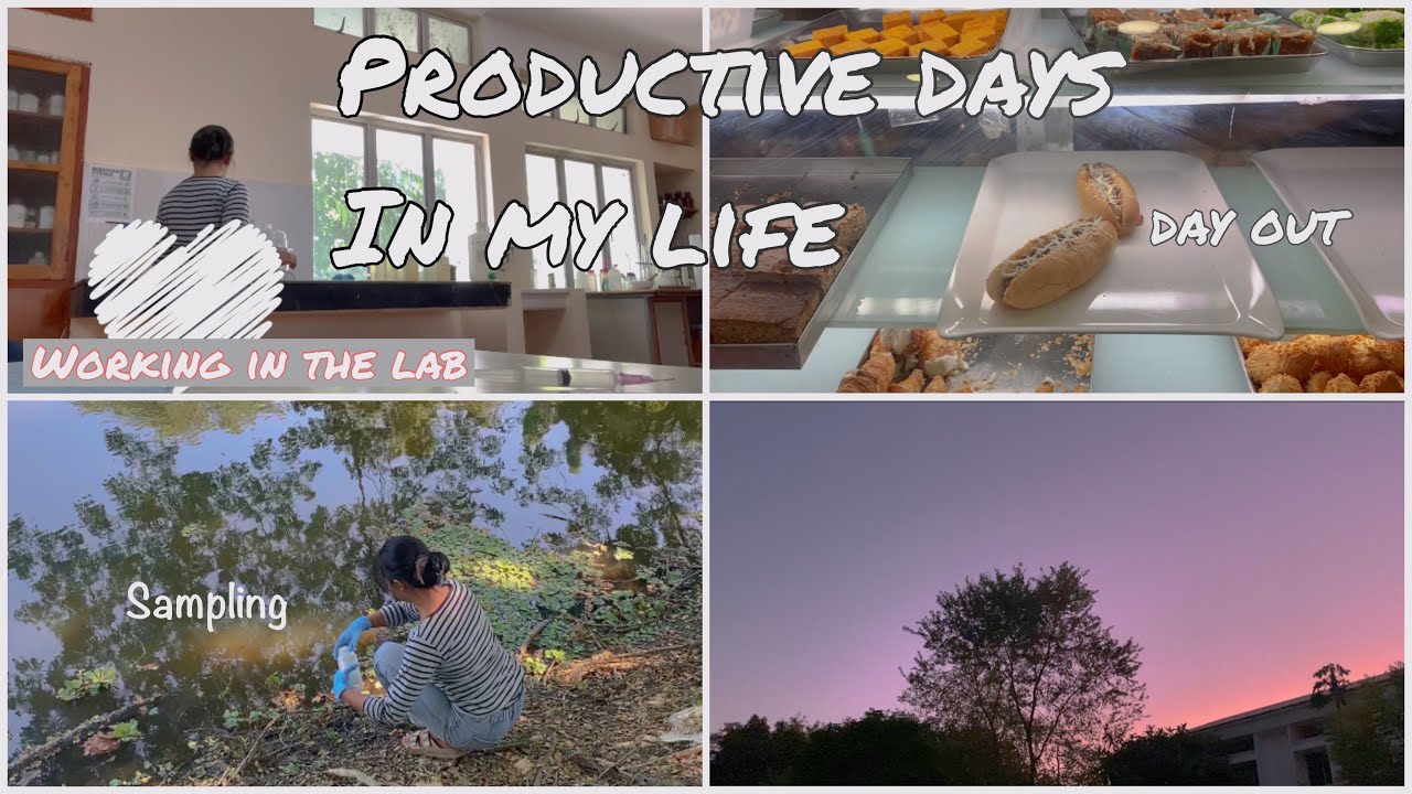 Productive days in my life | lab work, presentation, assignments etc | university student vlog