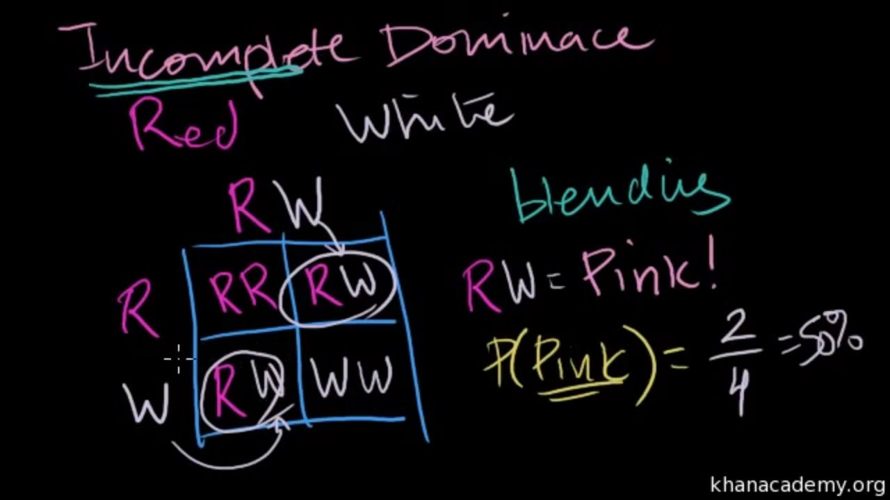 &ldquo;Red + White &ne; Red: Understanding Incomplete Dominance