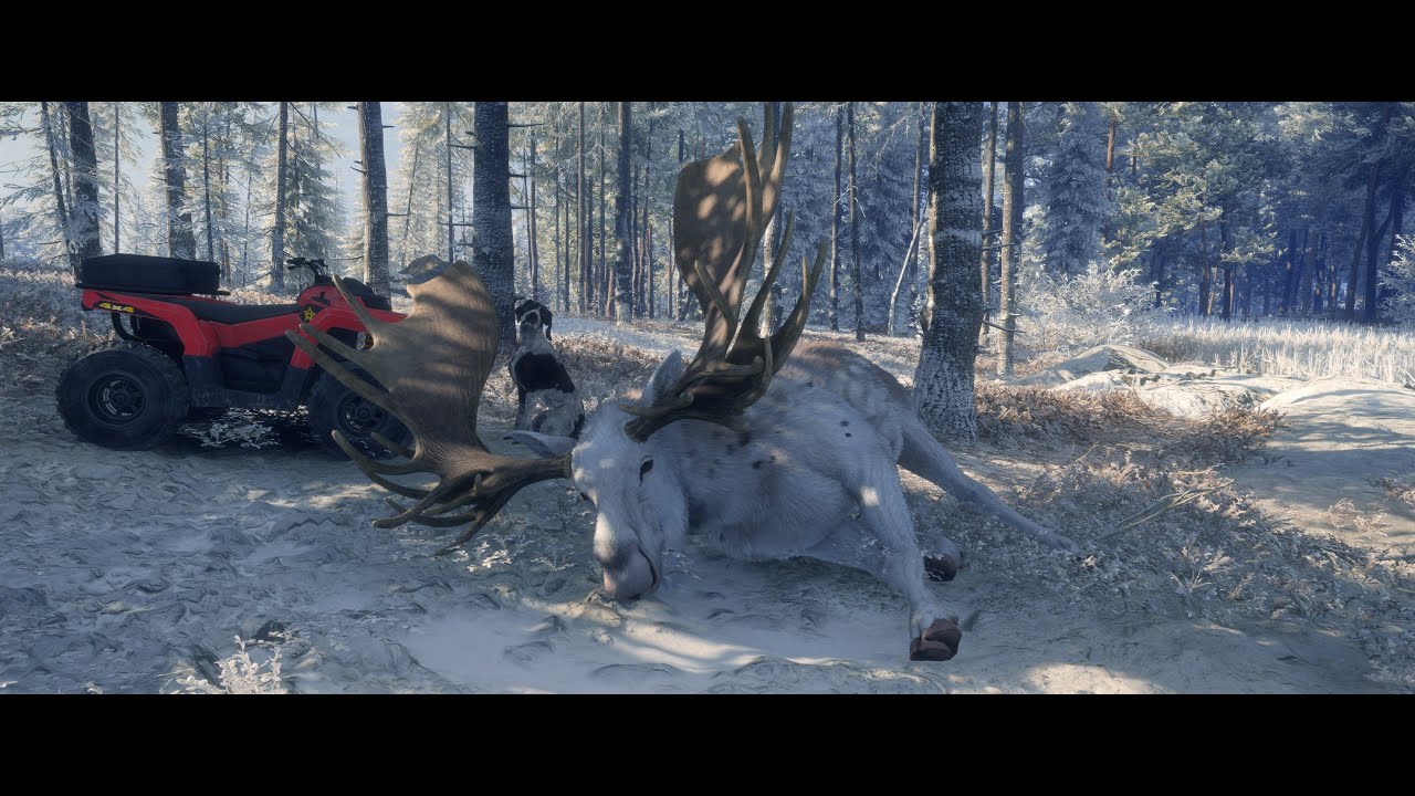 theHunter  Call of the Wild - GO Los na boží hod