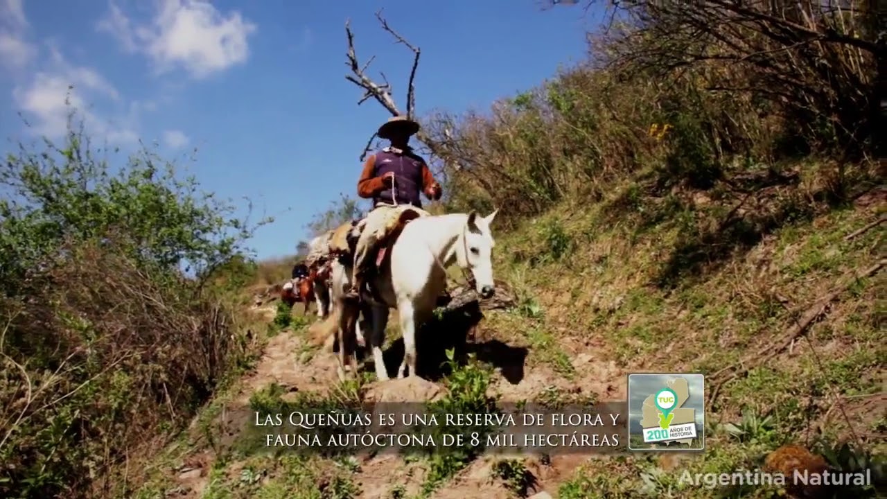 Cabalgata Cabra Horco, Tucumán