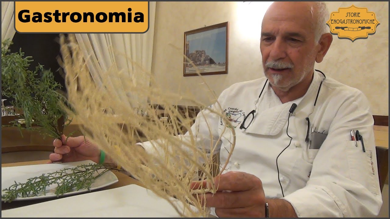 Salicornia del Gargano narrata da Franchino Sticozzi