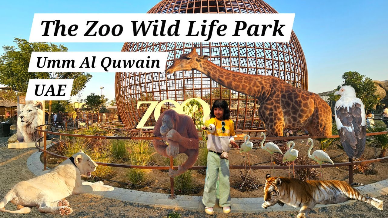 Umm Al Quwain Zoo Tour | The Zoo Wild Life Park | #UAEattractions #thezoowildlifepark
