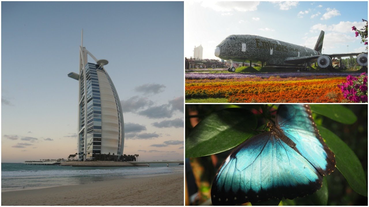VLOG| Poslední den v Dubaji - Zábavní park, Motýlí zahrada, Burj Al Arab