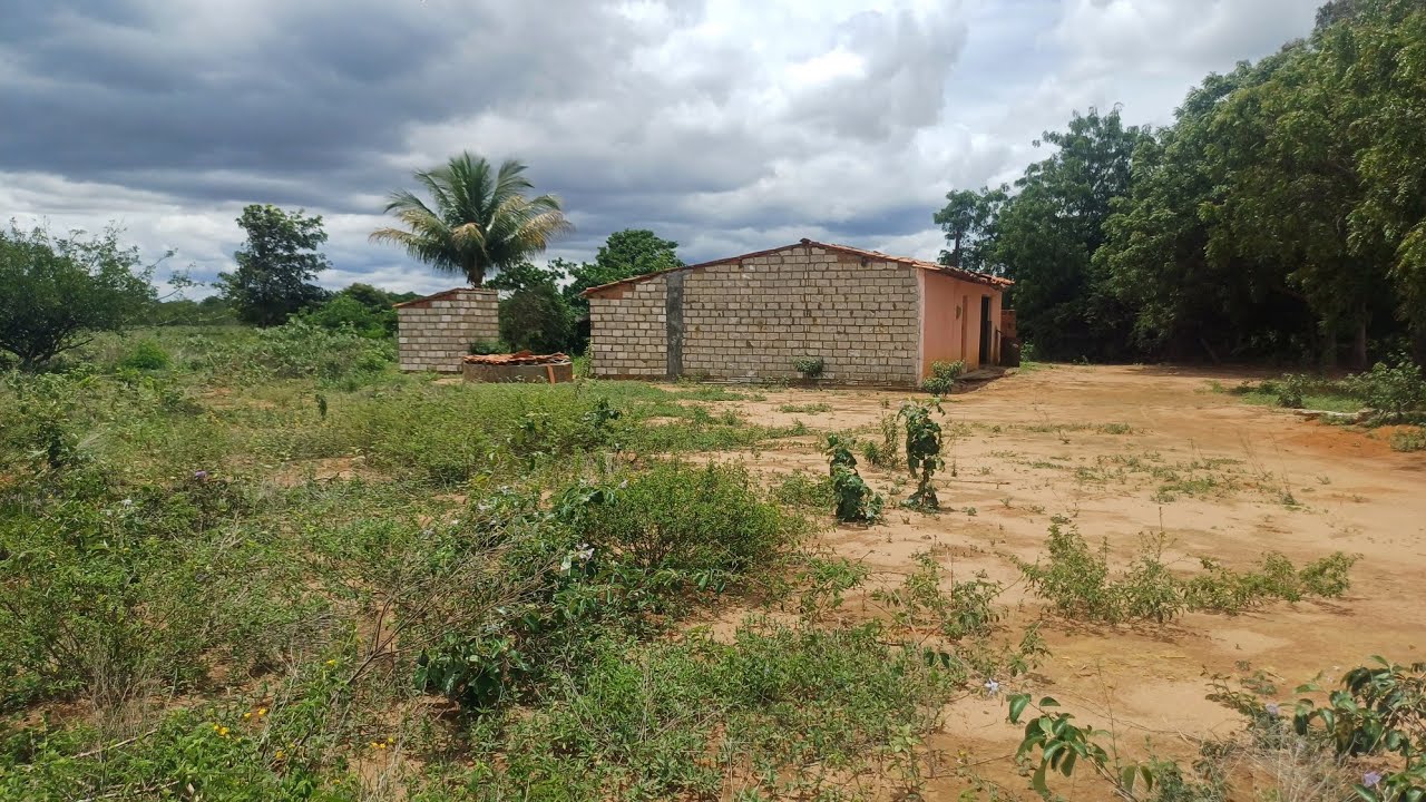Vendo barato 60 mil 4 hectares 8799102 3154/ 27 998799958 