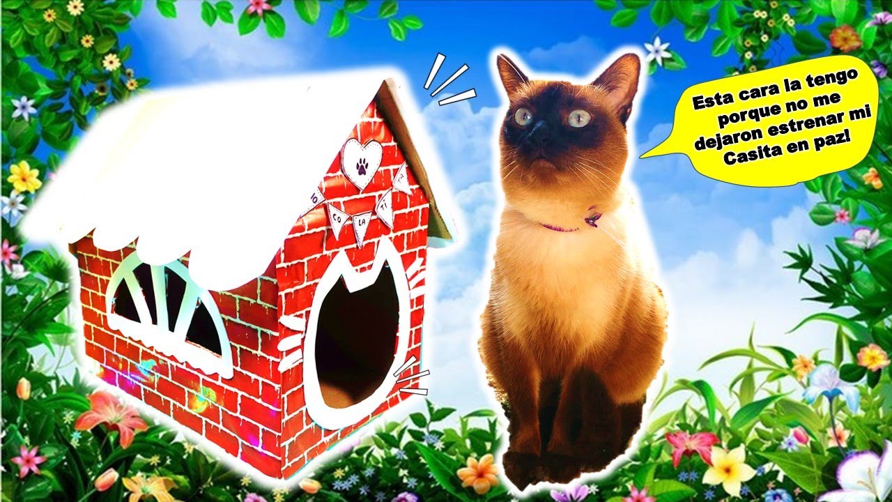 🏠 Hago CASA para mi GATA Chocolatita!! 🙀| Los demás gatos REACCIONAN asi!