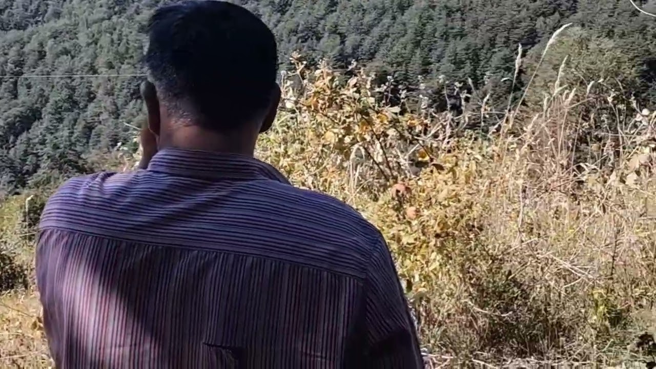Invierte en naturaleza, invierte en Molulco, Melipeuco