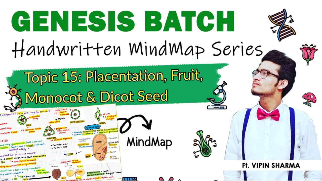 MindMap15: Placentation, Fruit and Monocot & Dicot Seed | Biology for NEET ft. Vipin Sharma #NEET
