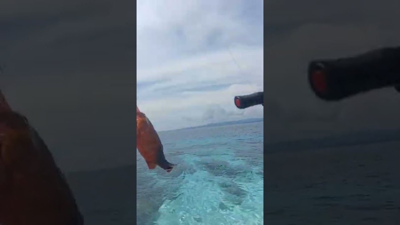 Satu Kali Lempar Langsung dapat, Casting UL Di Pulau BAIS Maluku ‼️🔥🤙