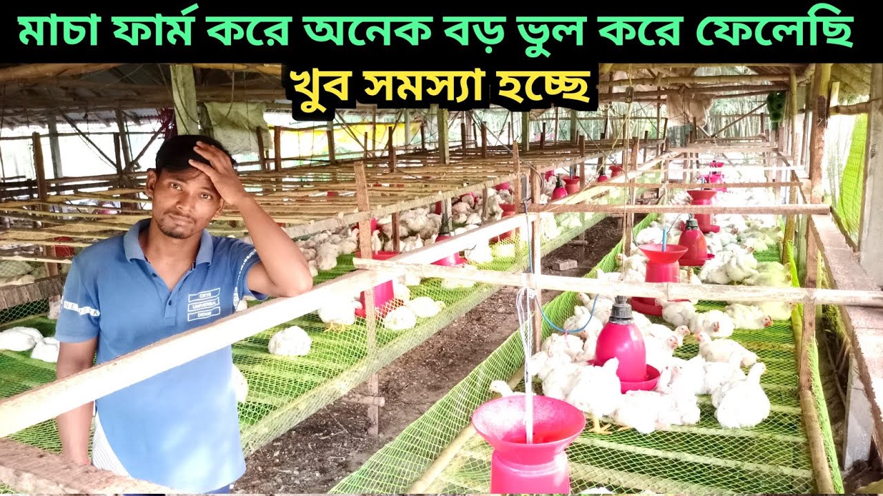 মাচা ফার্ম করে খুব অসুবিধার মধ্যে রয়েছি || Cage Farm Big Problems