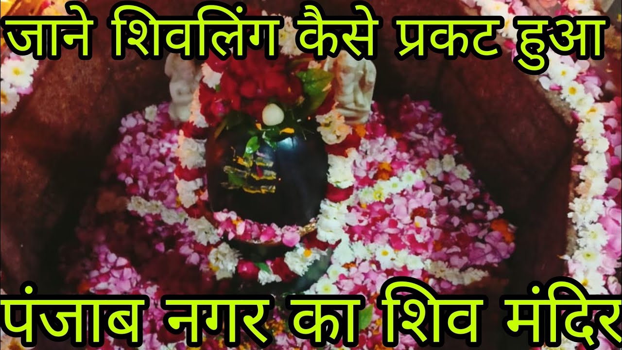 Shiv Mandir Punjab Nagar Rampur |शिव मंदिर पंजाब नगर |यहाँ प्रकट हुआ था शिवलिंग ।