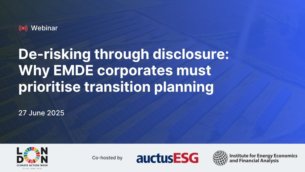 Webinar | De-risking through disclosure: Why EMDE corporates must prioritise transition planning