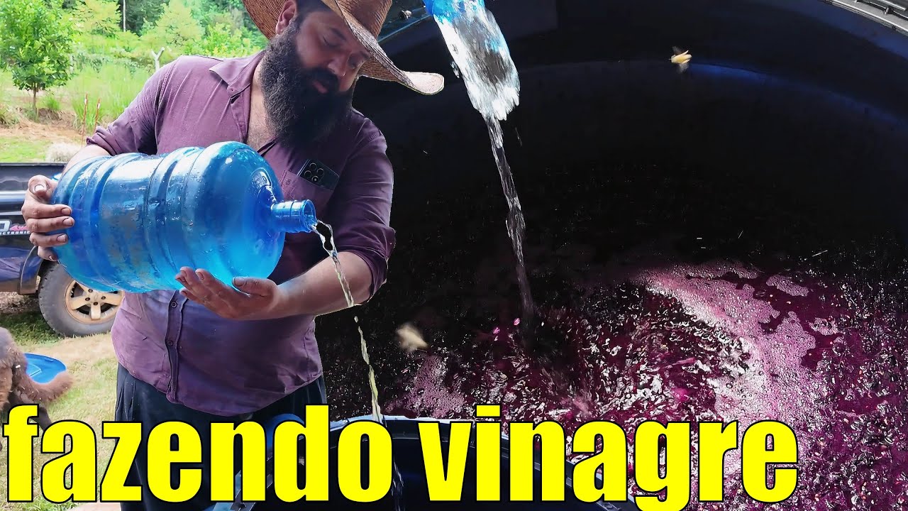 fazendo vinagre com bagaço de uva