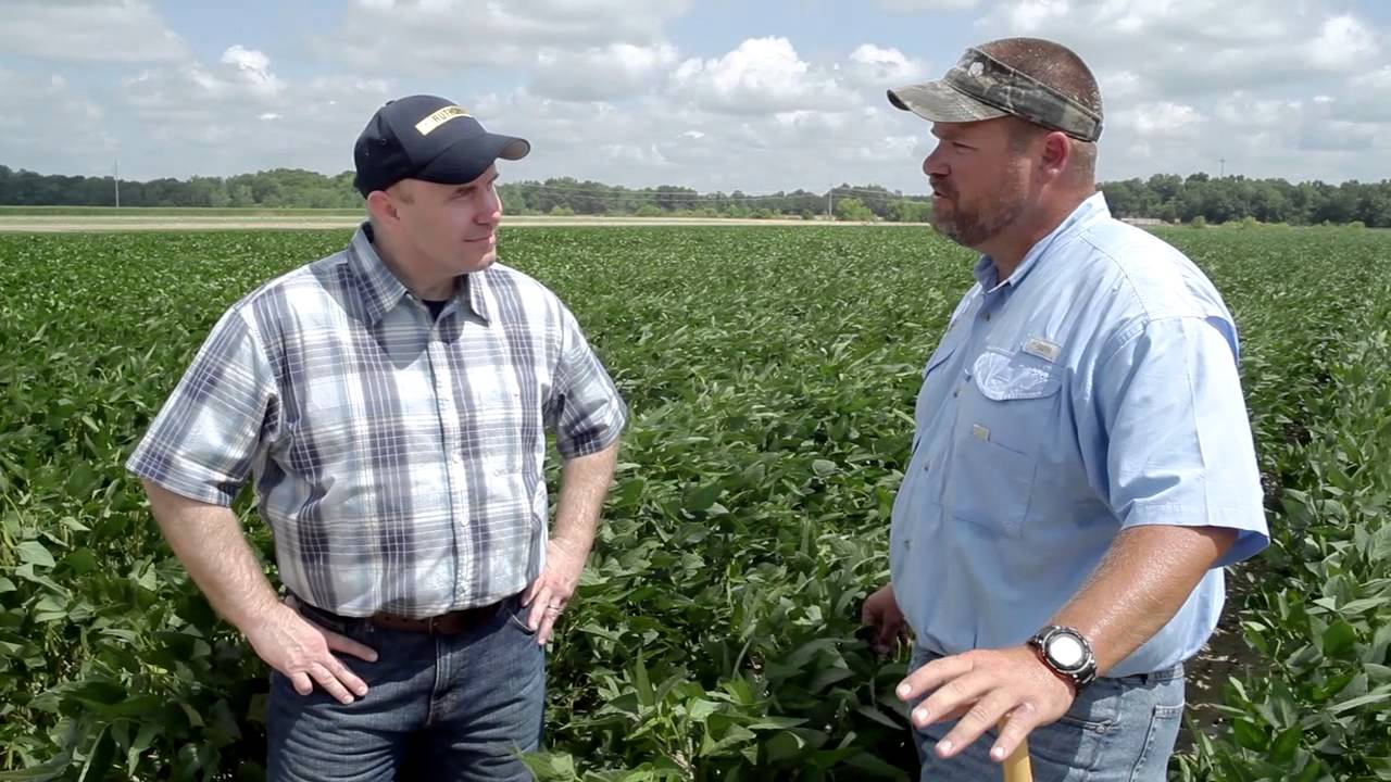 Authority Minute Episode 15: Pest Scouting