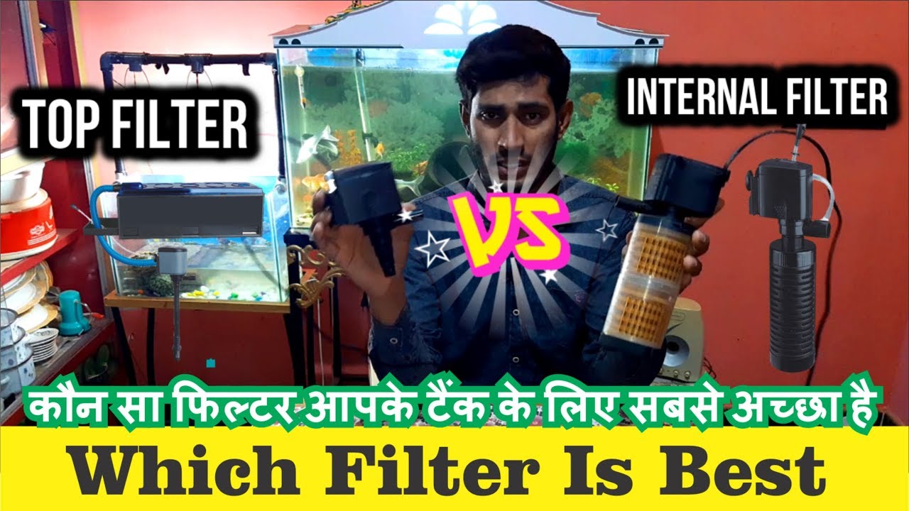 Top Filter VS Internal Filter details - Which filter is best for your Aquarium tank