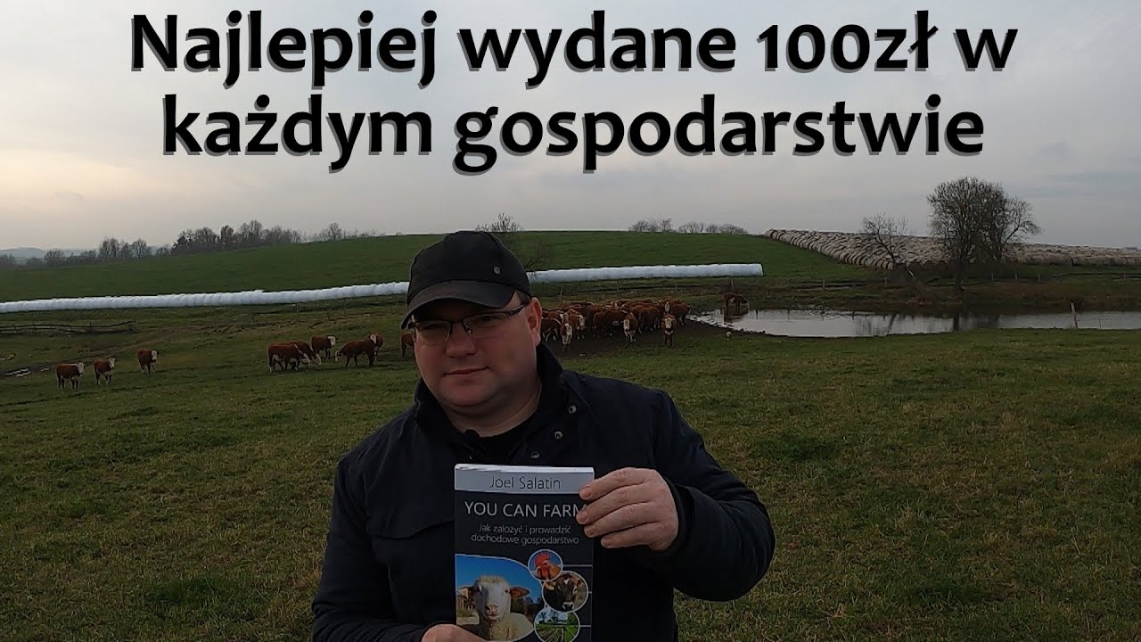 Paśnik mineralny dla bydła mięsnego
