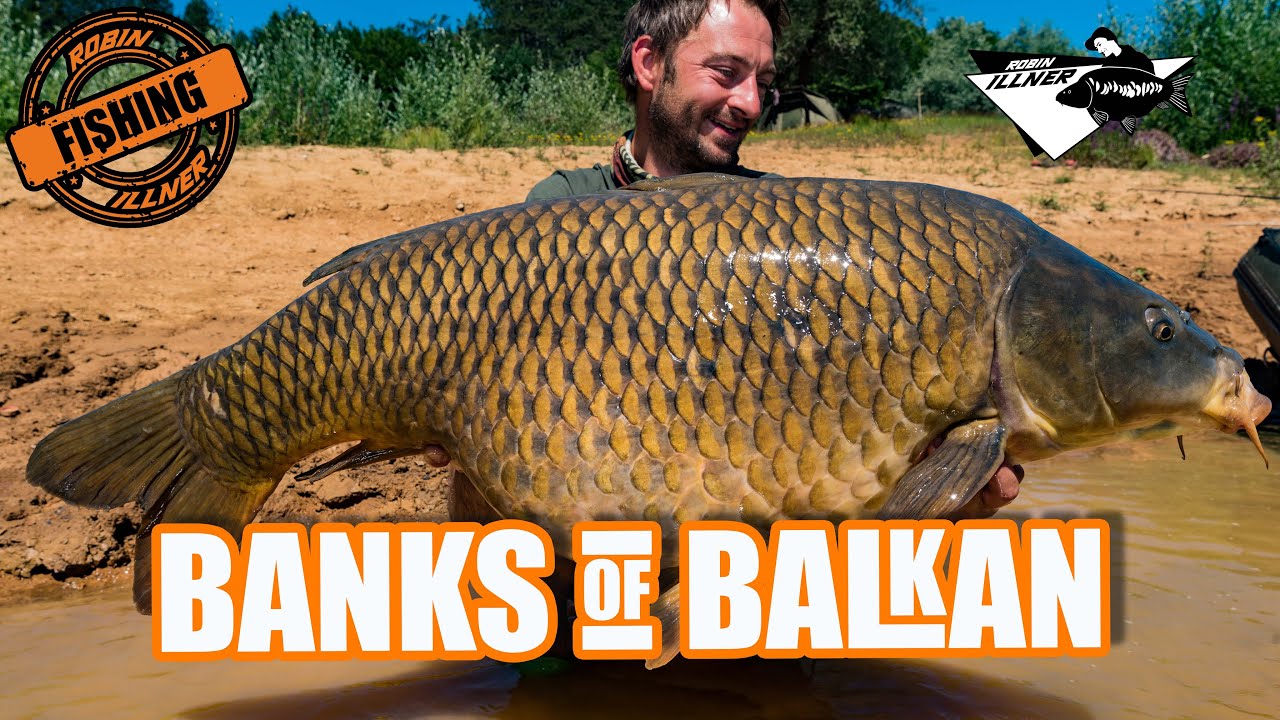 BANKS OF BALKAN - KARPFENANGELN IN KROATIEN! (Summervibes mit Robin Illner und Jörg Krause! LETS GO)