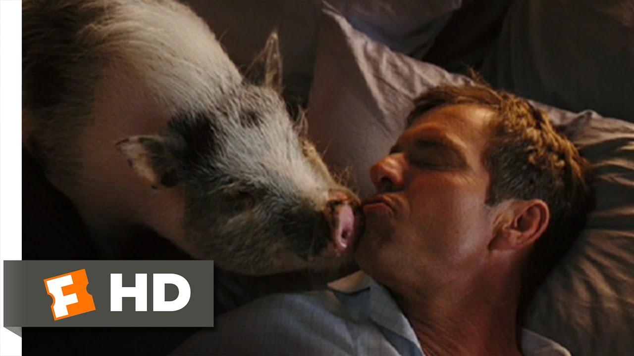 Yours, Mine and Ours (7/9) Movie CLIP - A Greater Enemy (2005) HD