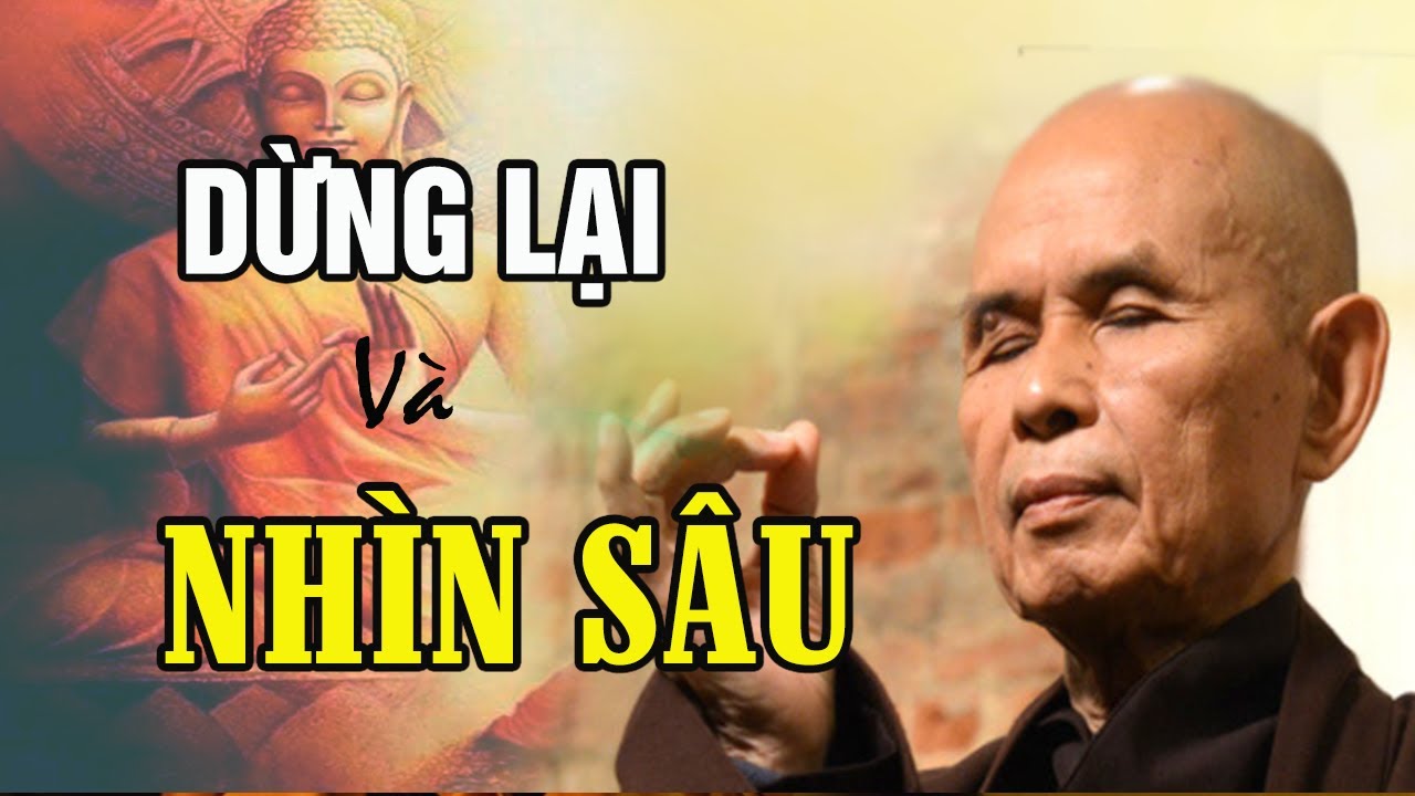 DỪNG LẠI Và NHÌN SÂU || TS Thích Nhất Hạnh