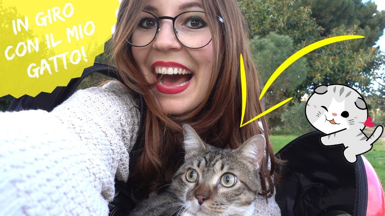 UNA PASSEGGIATA CON IL MIO GATTO FUFI! 🐱