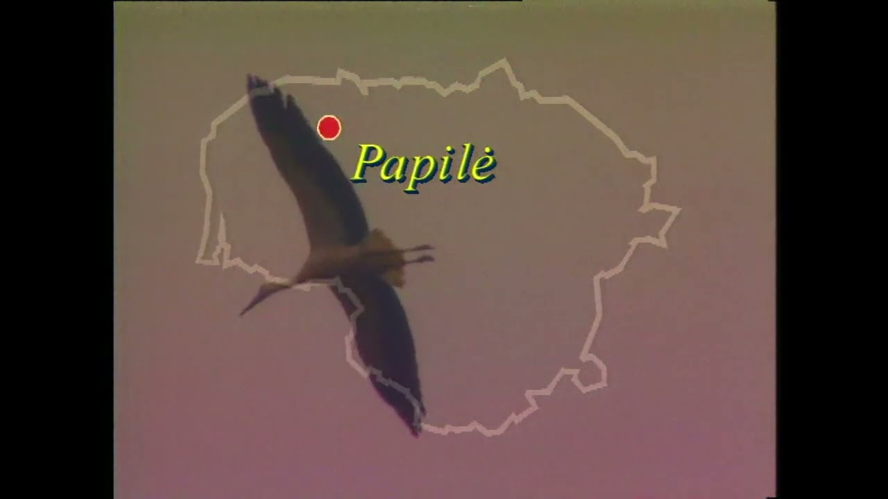 Mūsų miesteliai. Papilė (2004metai) VHS